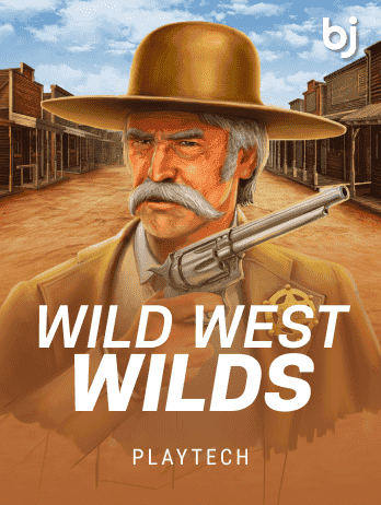 Wild West Wilds game icon